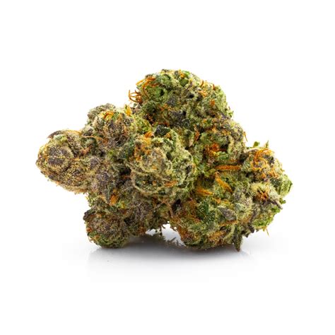 The THC content of this. . Coka strain review